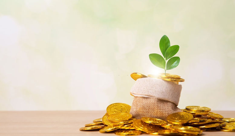 plant on the top numerous gold coins to describe gold investment