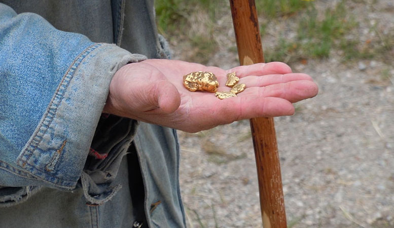 a miners hand with a gold nugget
