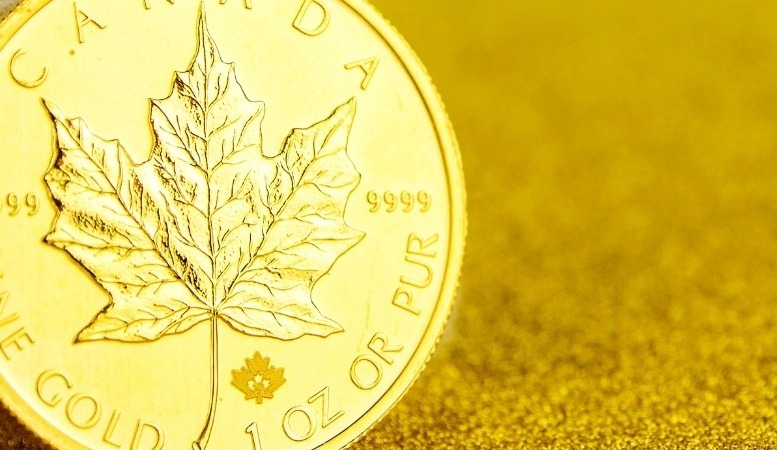 a canadian gold coina canadian gold coin