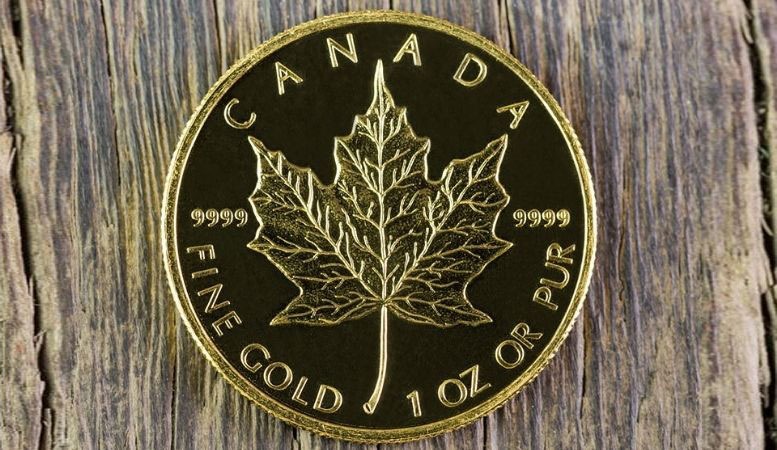 canadian maple gold coin as one of the best gold coin