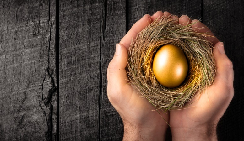 gold egg in a nest with a hand protecting it illustrating gold ira
