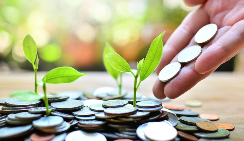 plant sprouts growing from coins as investment concept
