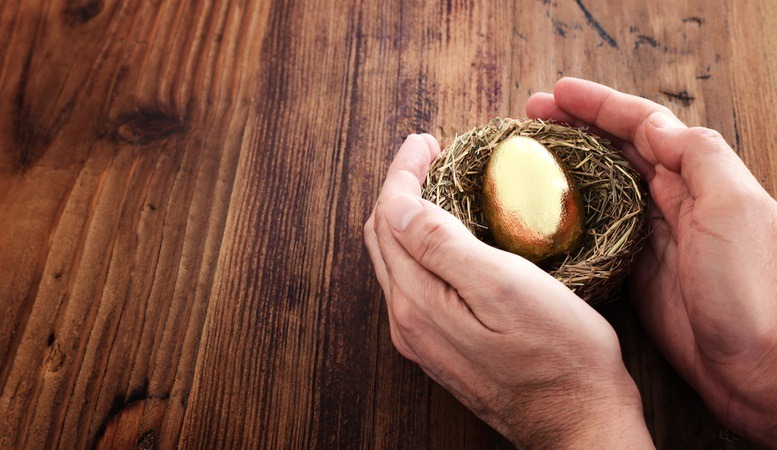 golden egg in a nest featured image