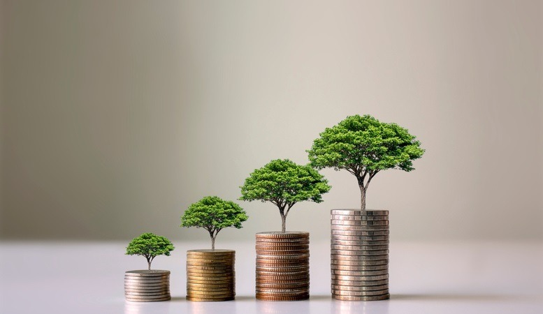 trees growing on stack of coins illustrating financial growth