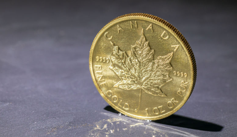 canadian gold maple coin on gray background