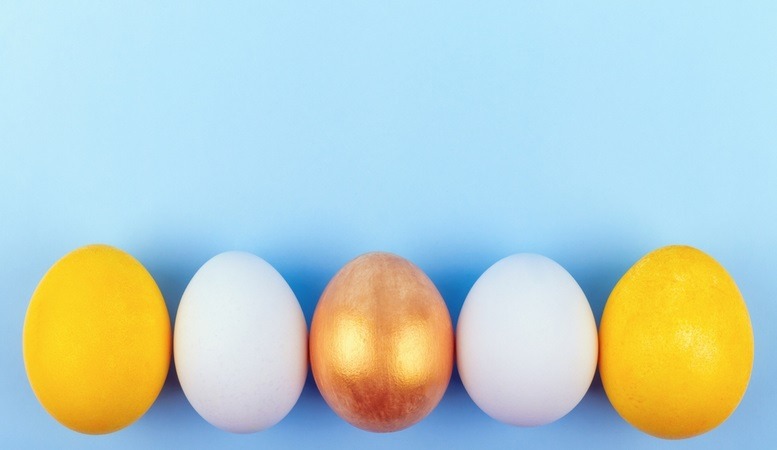 different eggs depiciting investment diversification