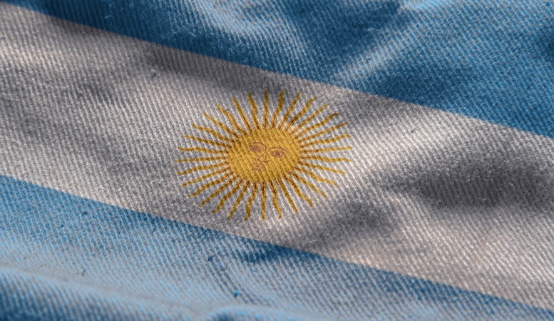 the argentina flag