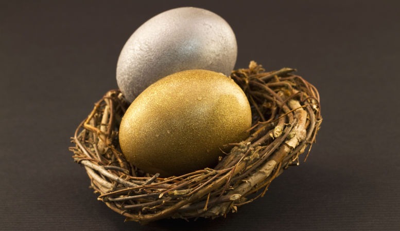 gold egg and silver egg in a nest