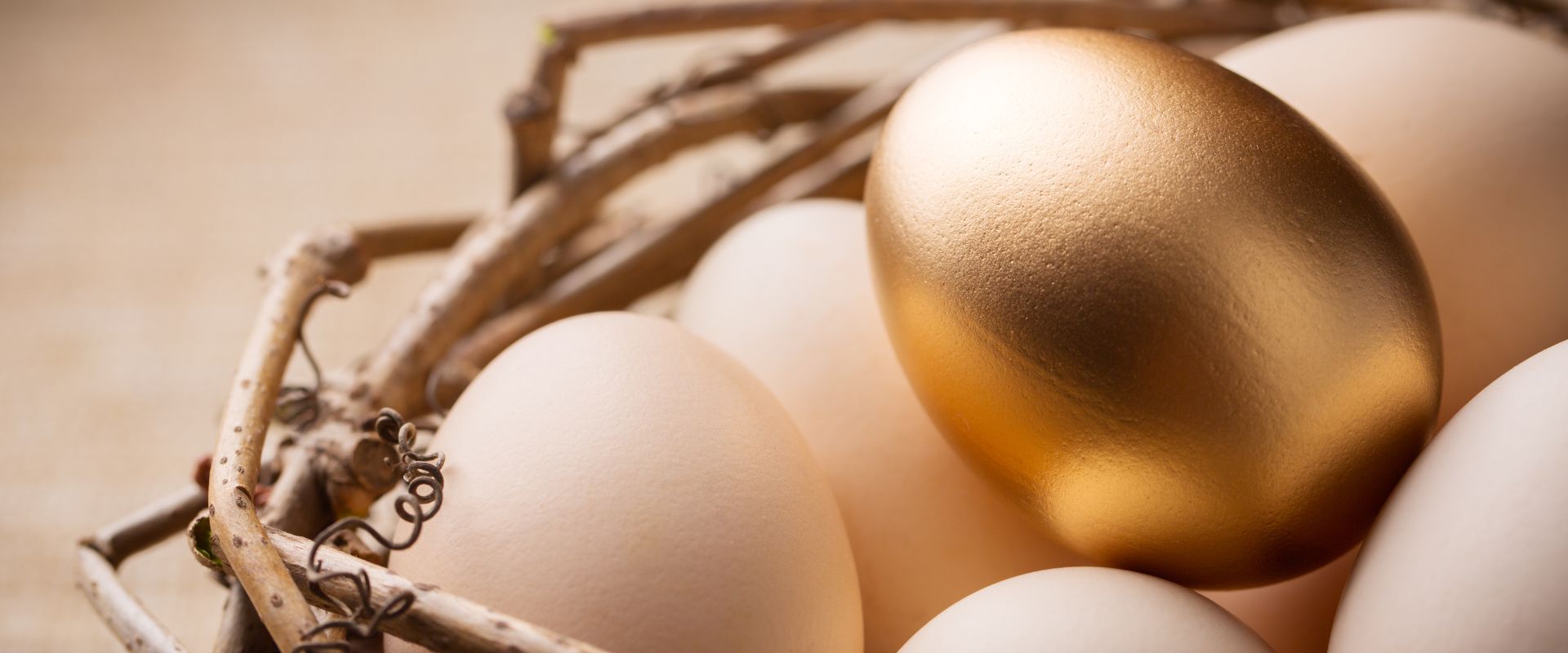 golden egg with white eggs inside the nest