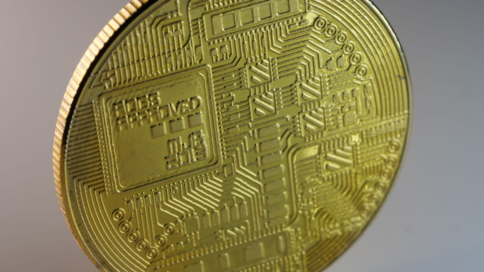 back side of gold backed cryptocurrency
